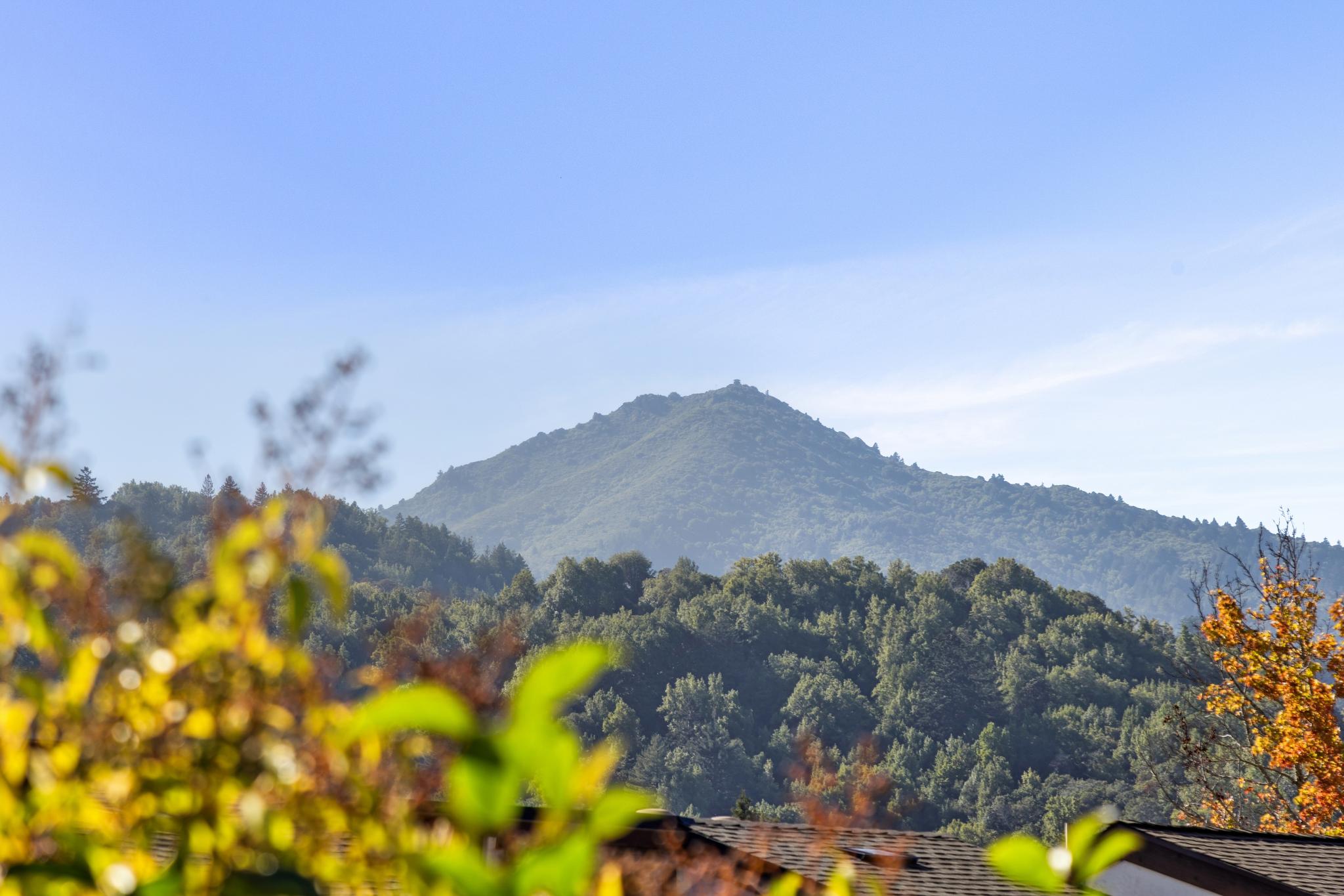 View of Mt. Tam directly from the condo, with tree-covered hills, blue sky, and landscaped foliage in the foreground.