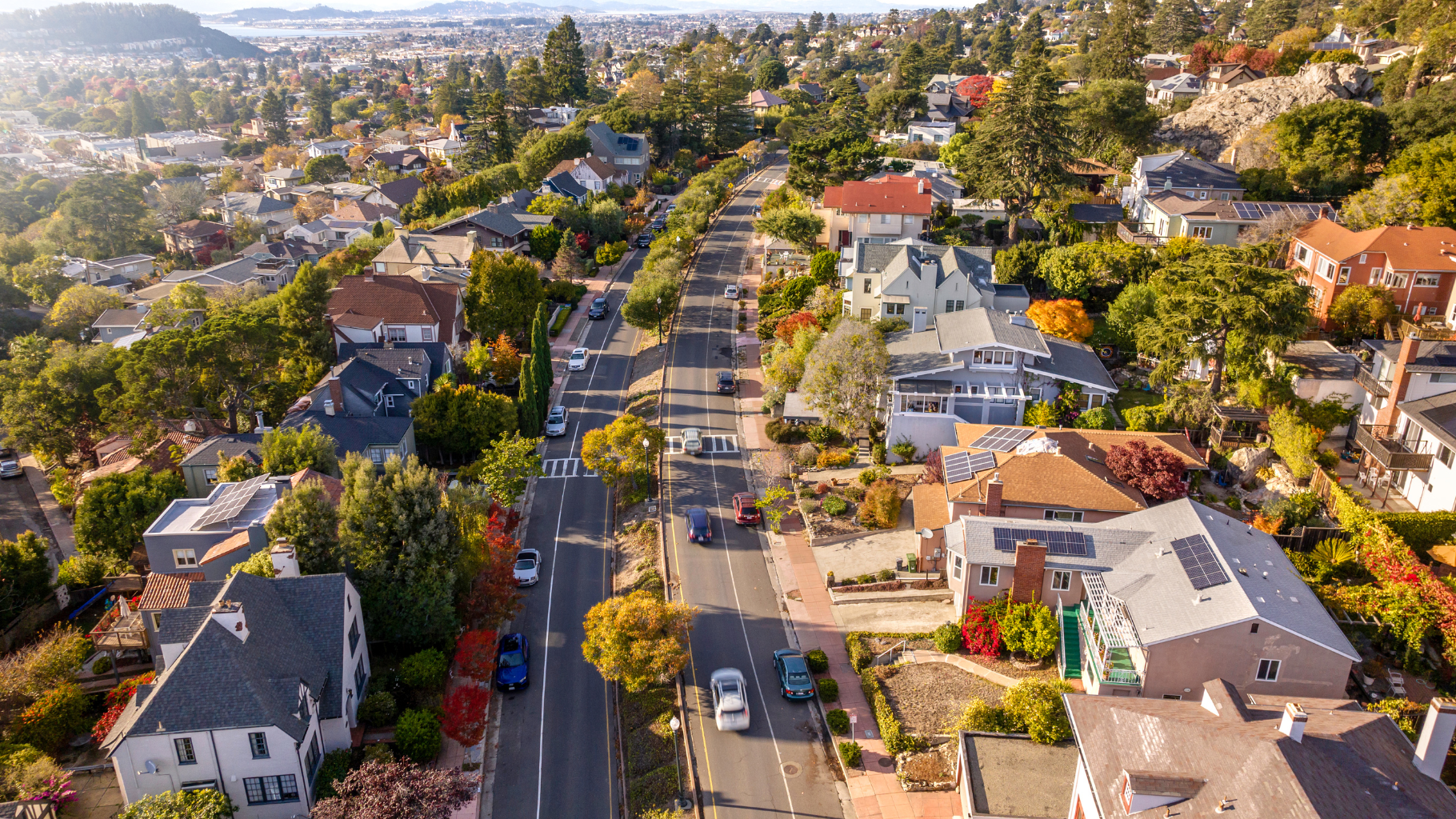 Aerial view of a Berkeley neighborhood with a tree-lined residential street, hillside homes, autumn foliage, and views stretching toward the Bay.