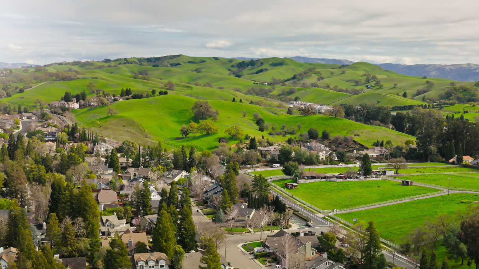 Pleasanton neighborhood in spring