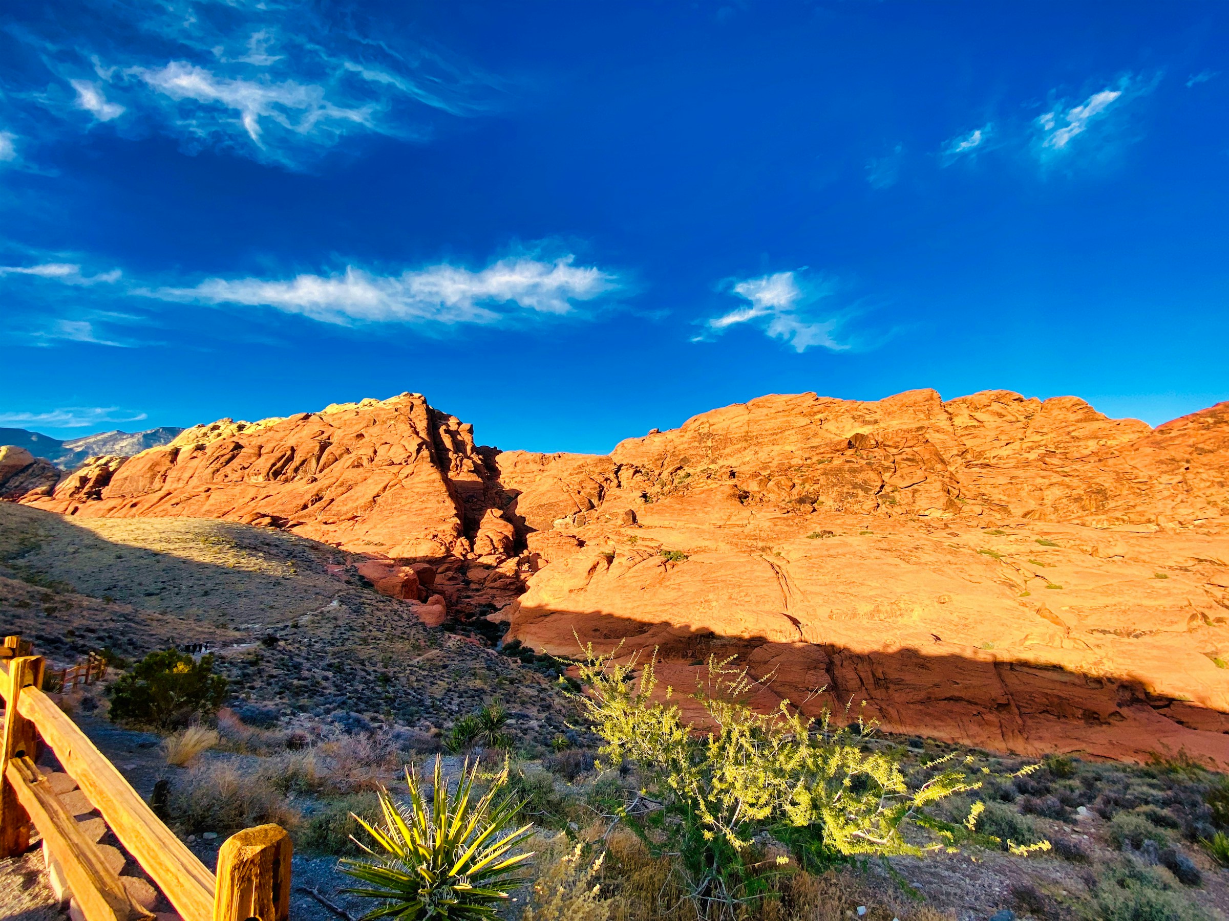 Sunlit red sandstone cliffs and desert scrub at Red Rock Canyon near Las Vegas during golden hour
