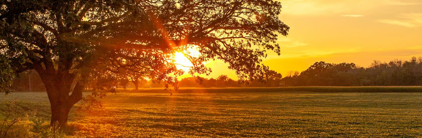 Unique Texas Getaways header image.