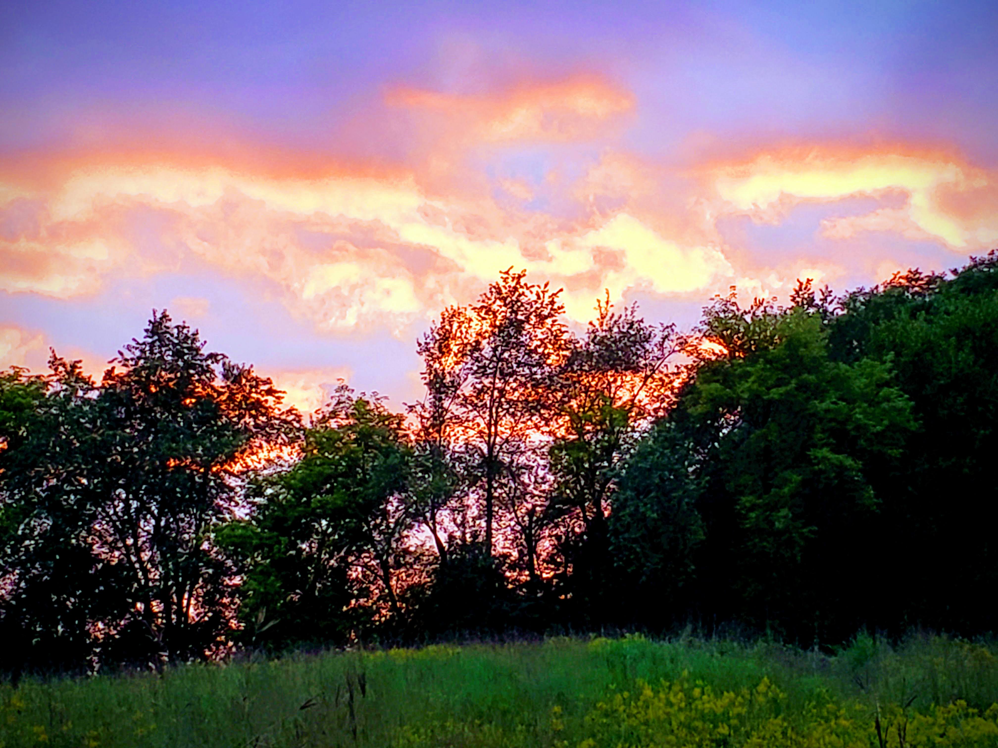 Top Reasons to Choose the Ferraro Real Estate Team for Land Sales header image.