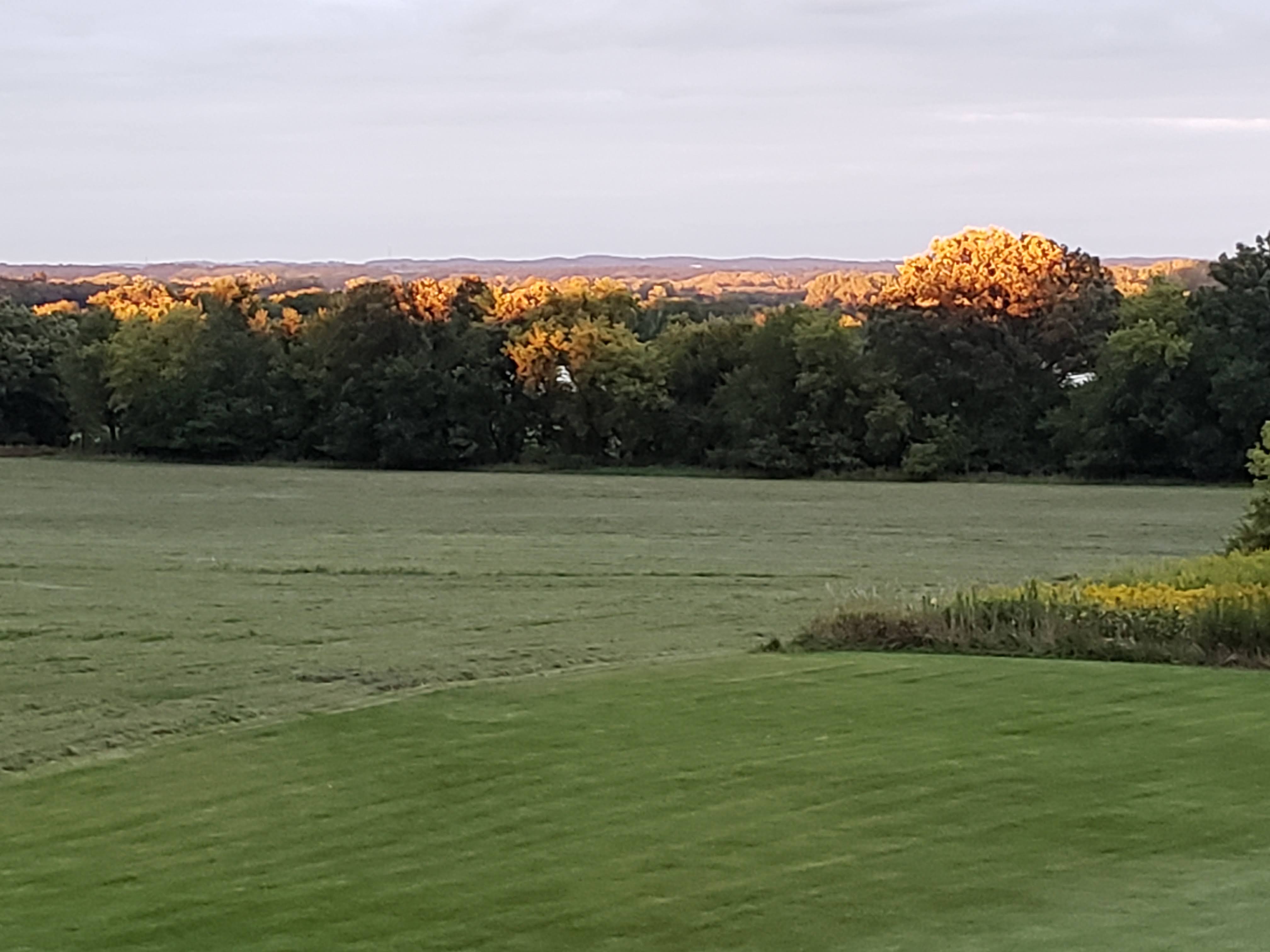 What Buyers Should Know About the Fall Market in Wisconsin header image.