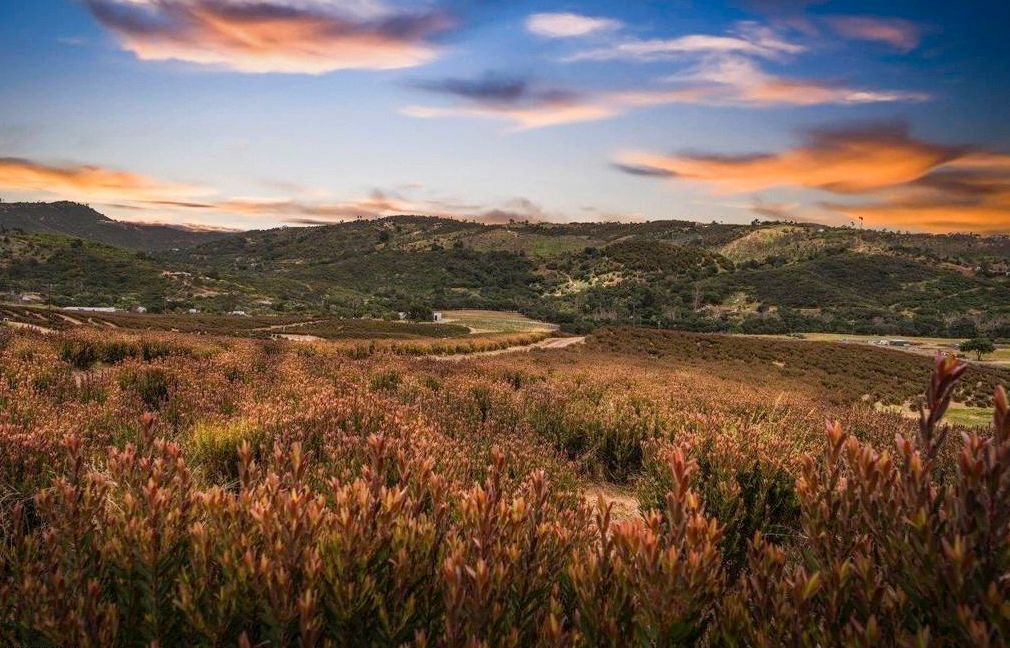 Valley Center ranch property with acreage and rolling hills in North County San Diego