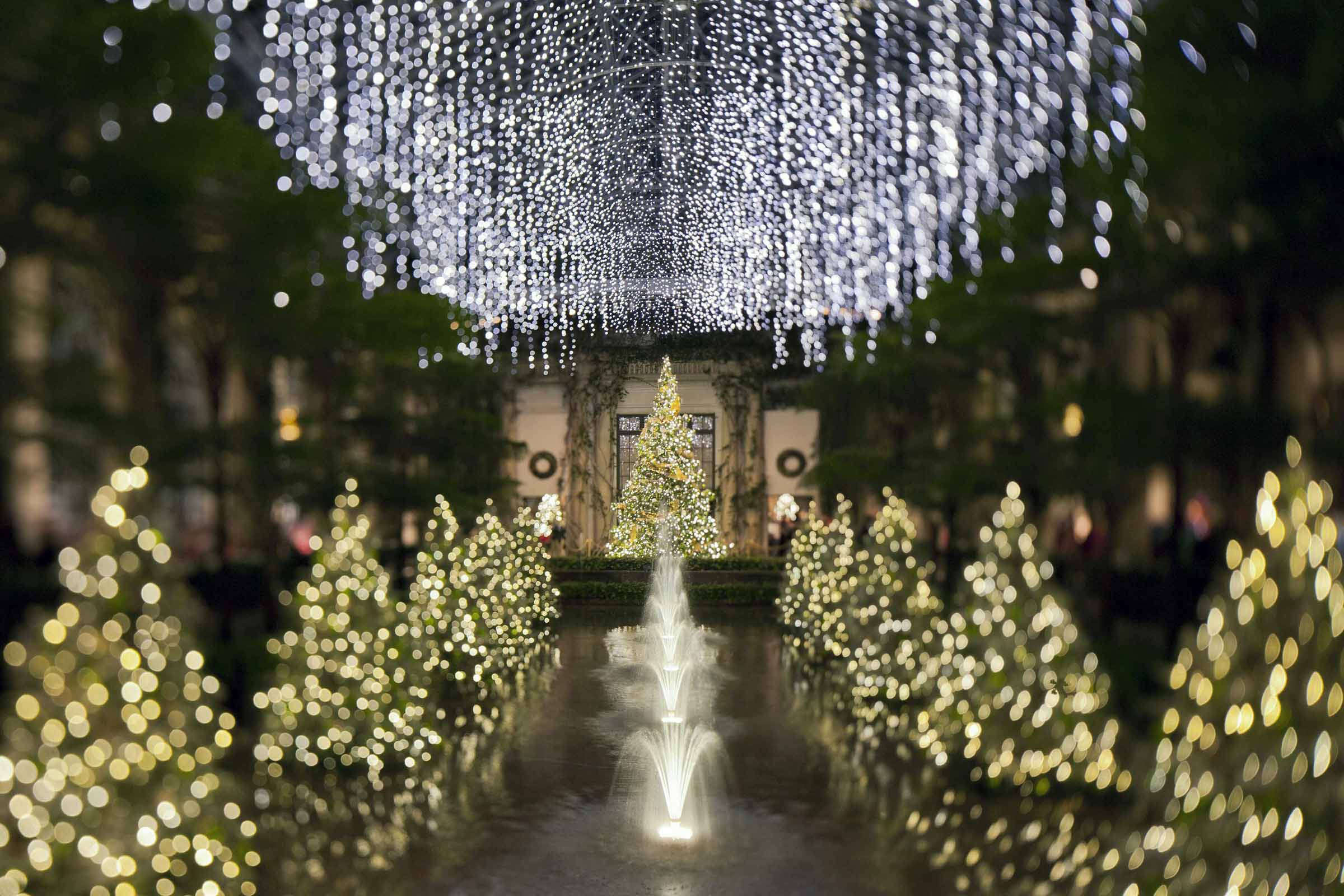 The Holiday Season Is Here! header image.