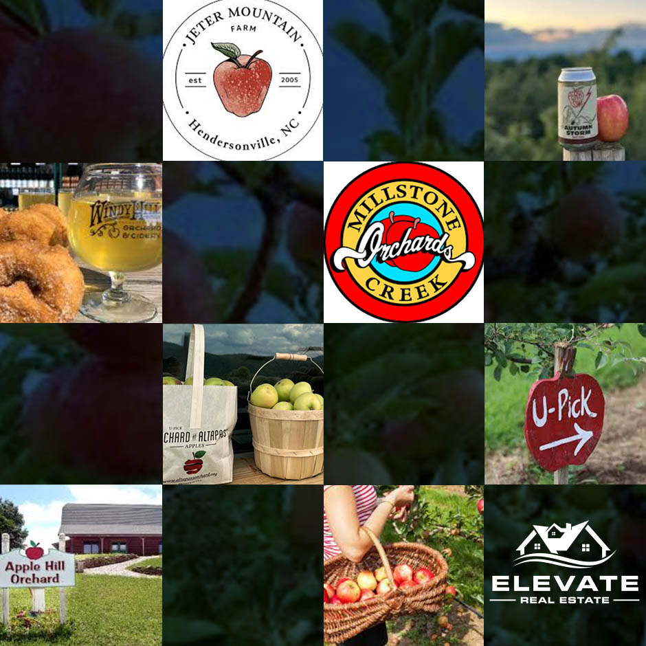 Pick-your-own apple orchards near the Lake Norman and Charlotte area header image.