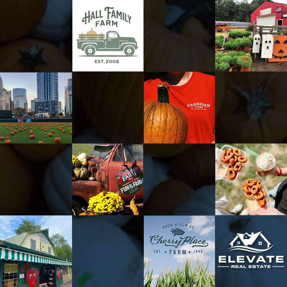 Where to Pick Pumpkins around the Lake Norman and Charlotte area header image.