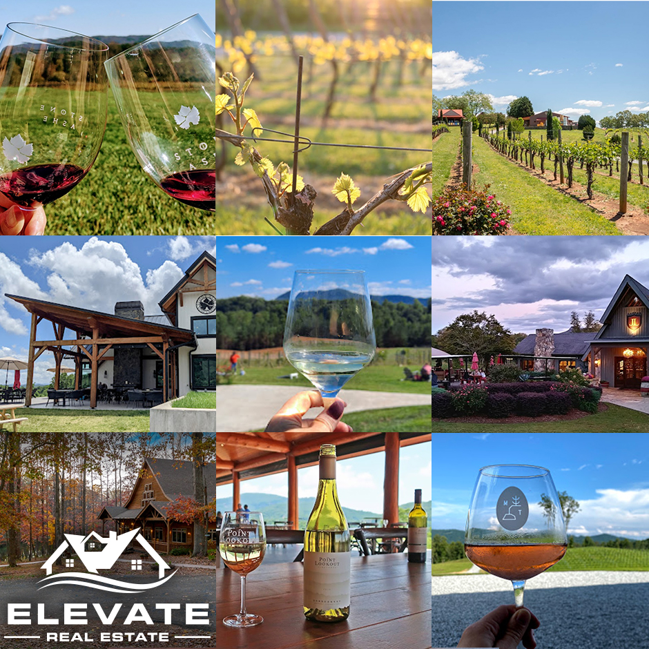 Winery and Vineyard Guide Around LKN & CLT header image.