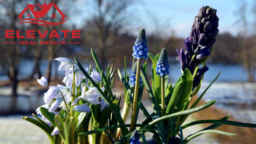 Our Favorite Picks for Spring 2021 in Lake Norman and Charlotte! header image.
