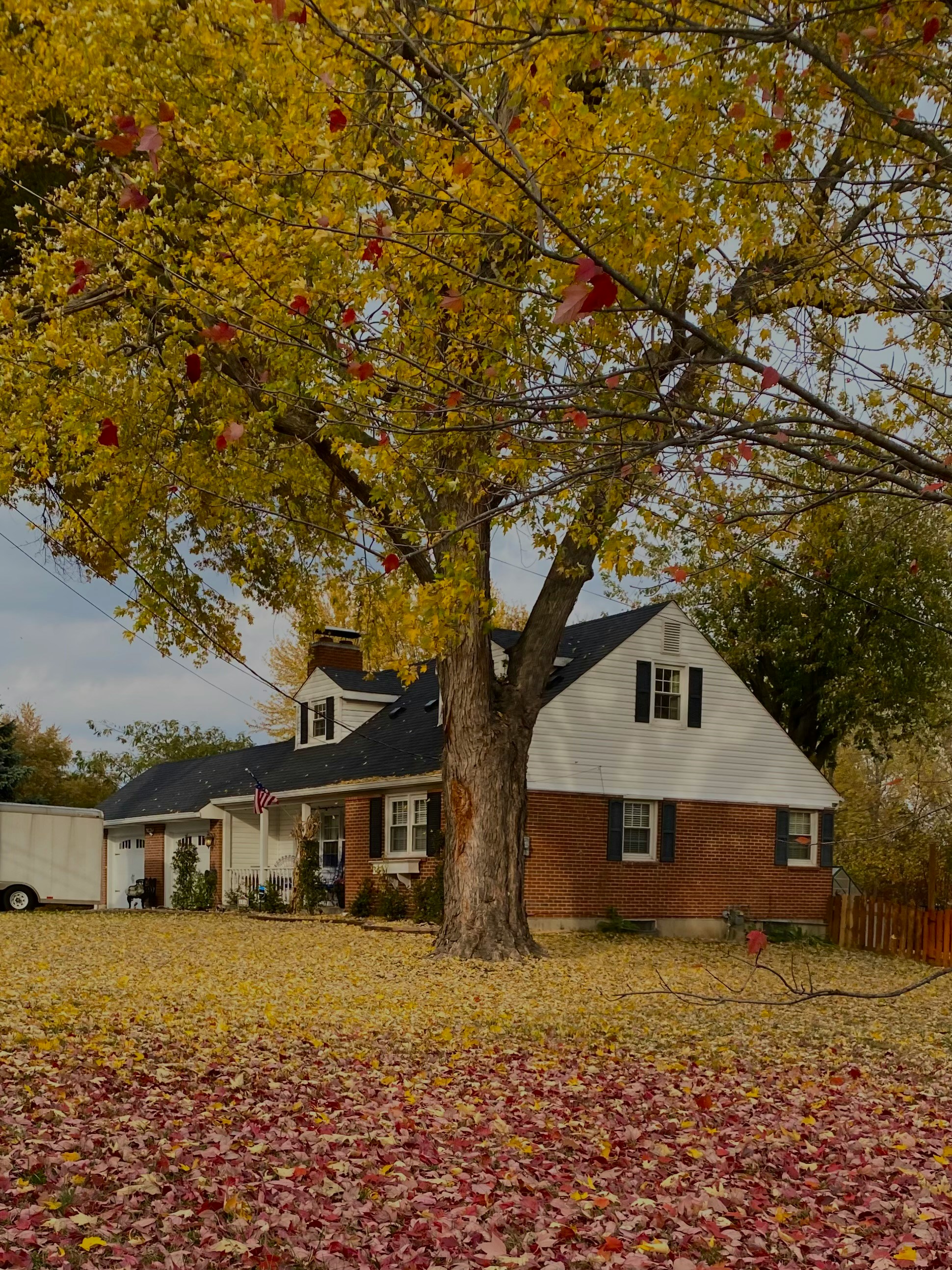 Cincinnati Area Weekly Real Estate Market Update header image.