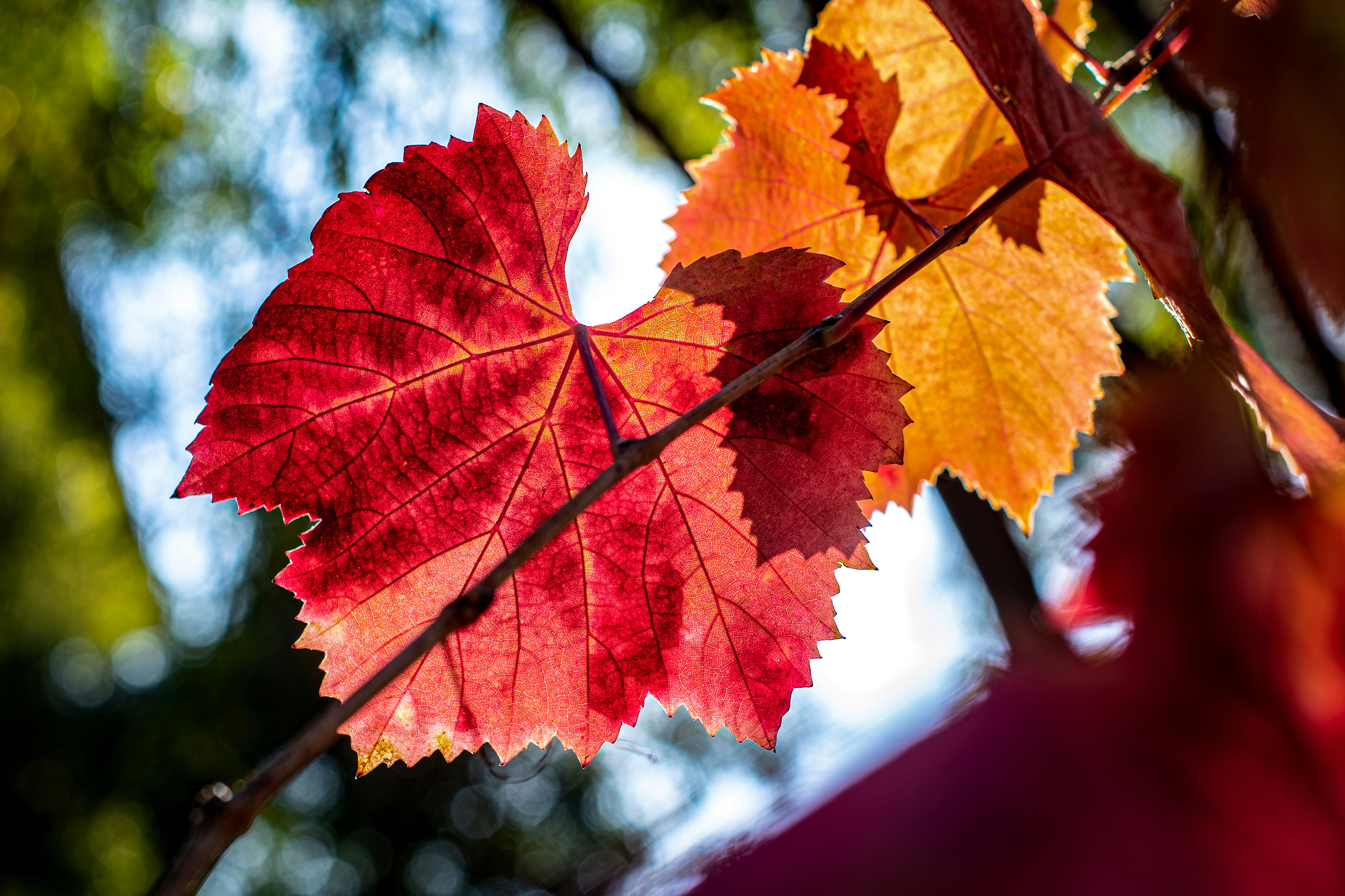 Tips for Getting Your House Ready for Fall header image.