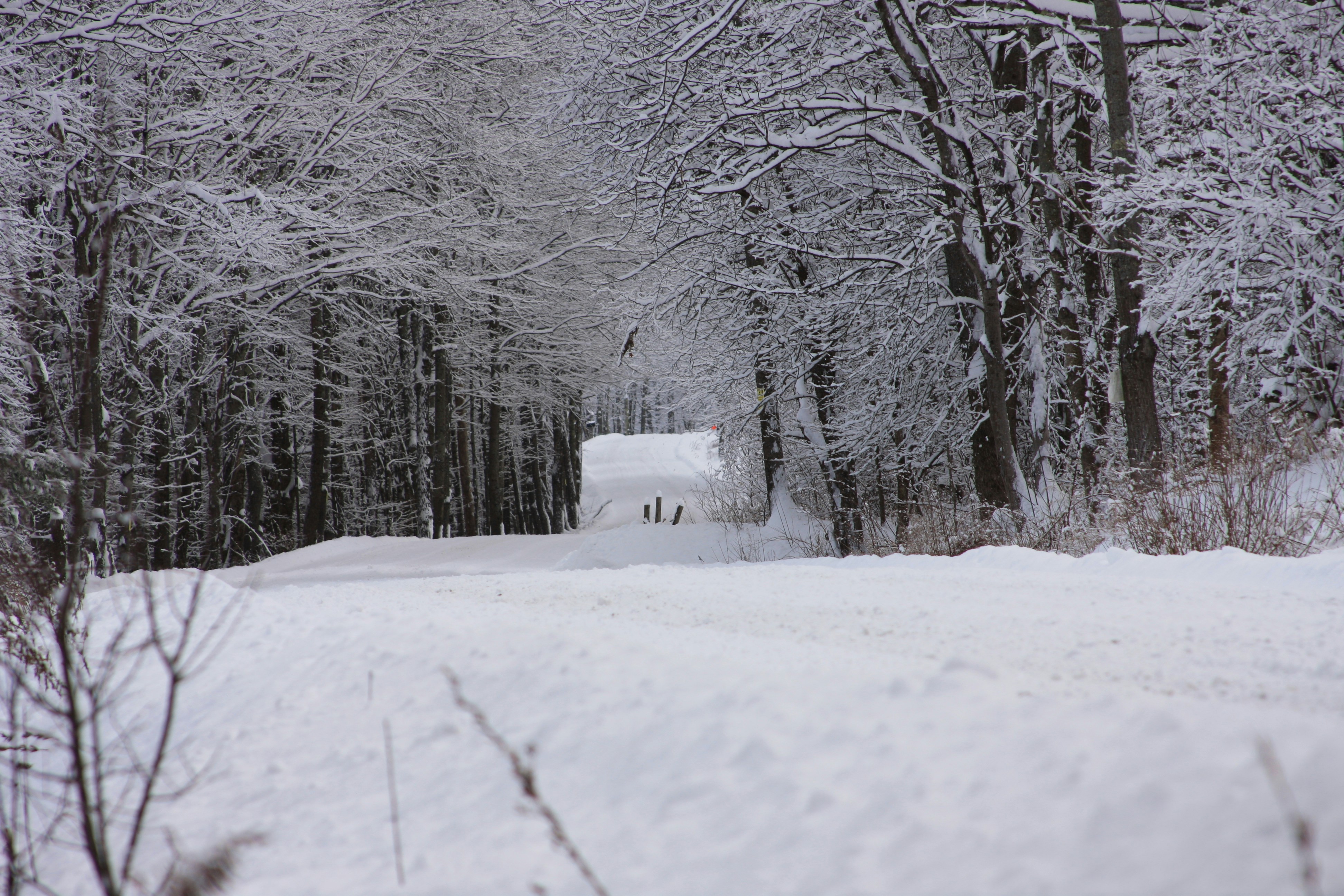 Maneuvering Snowy Roads: A Guide for Homebuyers and Sellers in Winter header image.