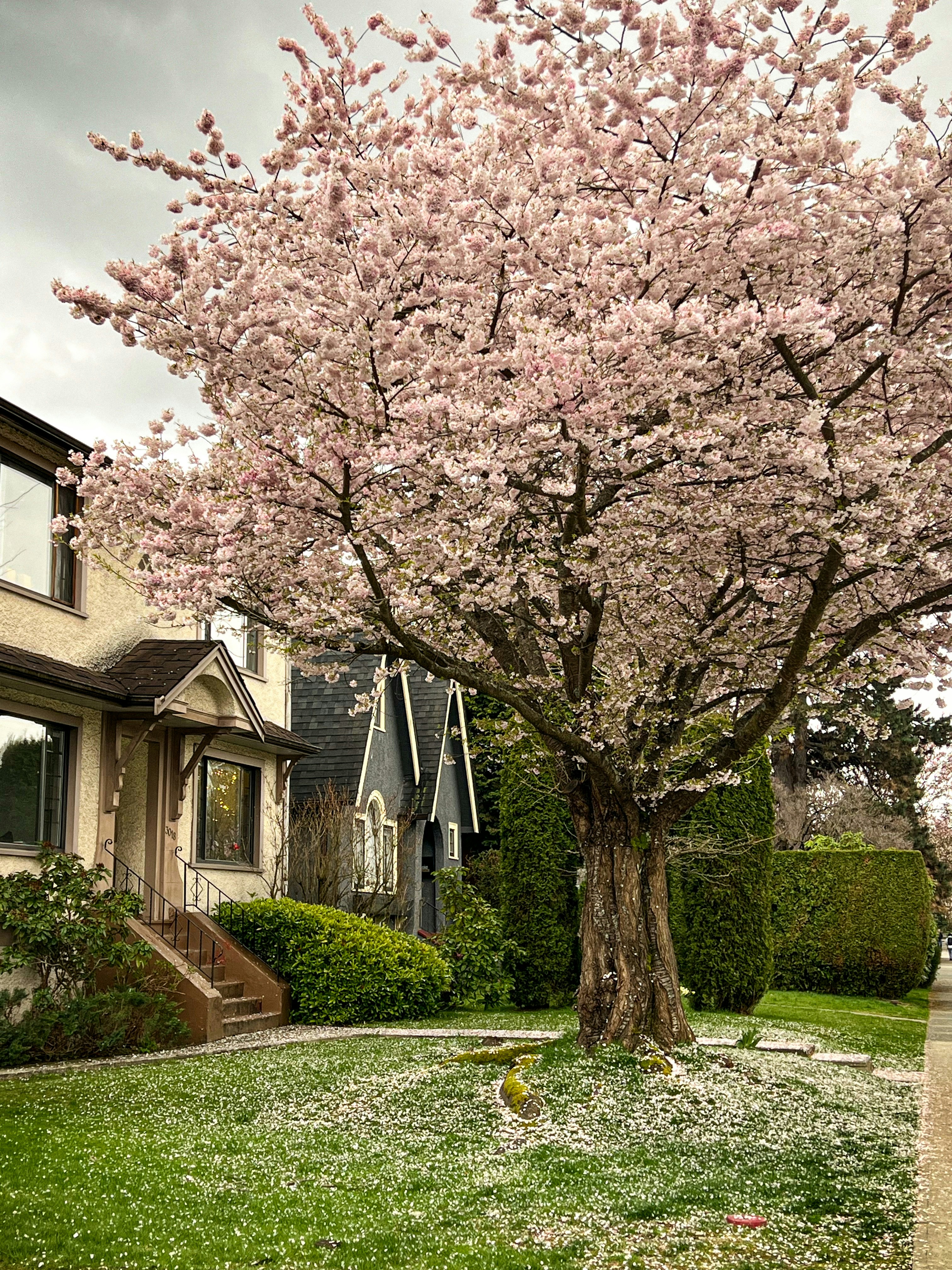 Home Improvement Projects for Springtime header image.