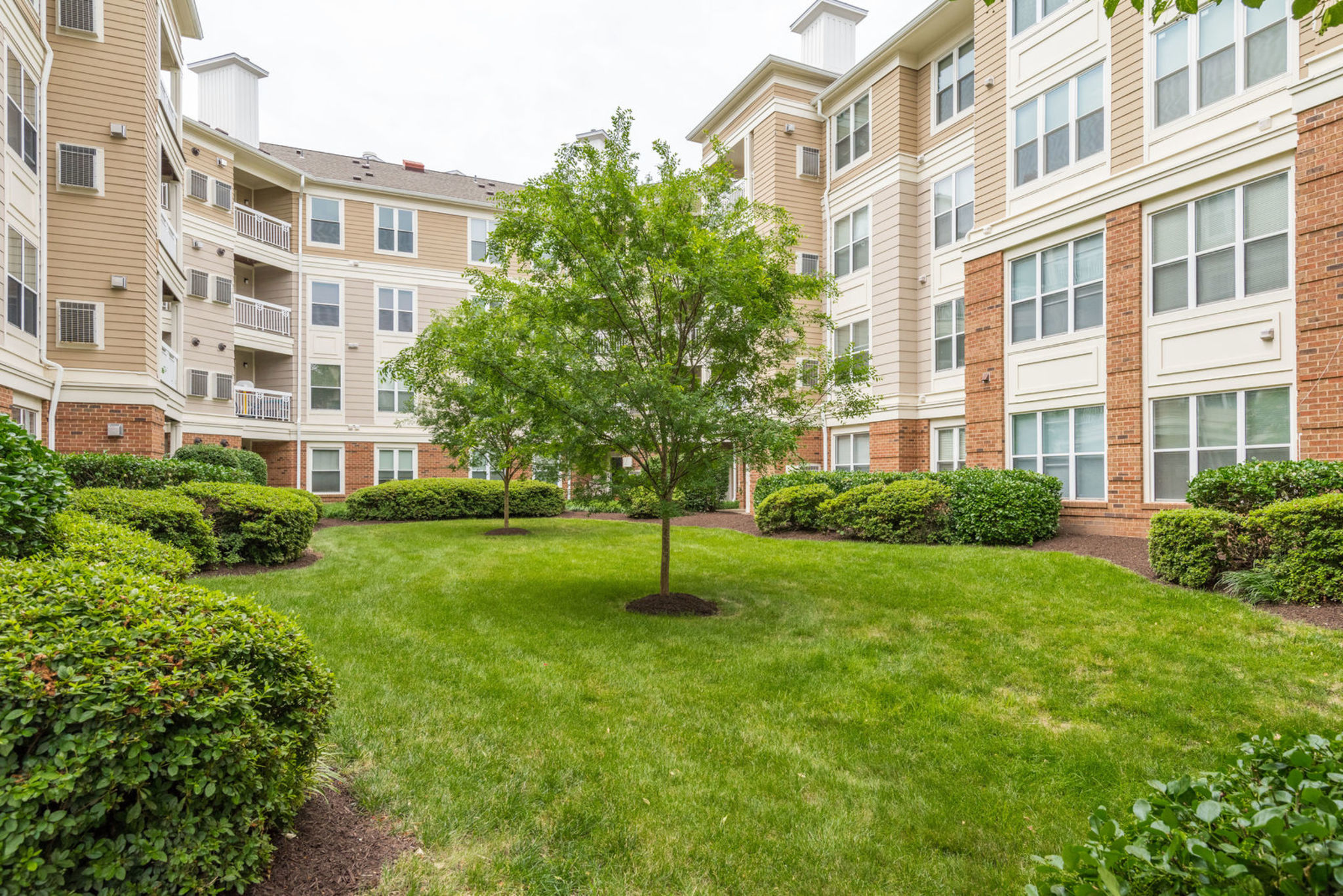Worldgate 12919 Alton Square #410, Herndon, VA 20170 Open House! By-12:45Team header image.