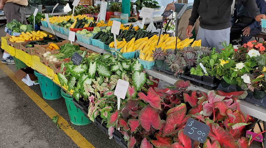 Anne Arundel County - Farmers markets, fresh produce & local eats header image.