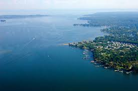 Magothy River Wildlife: Birds, dolphins & nature watching near home header image.