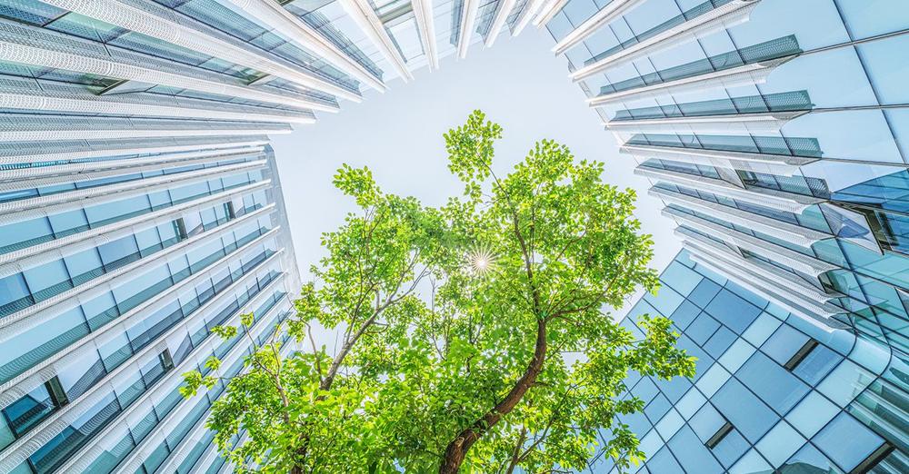 Unveiling the Greener Future: Insights from the 2024 Sustainability Survey - Residential header image.