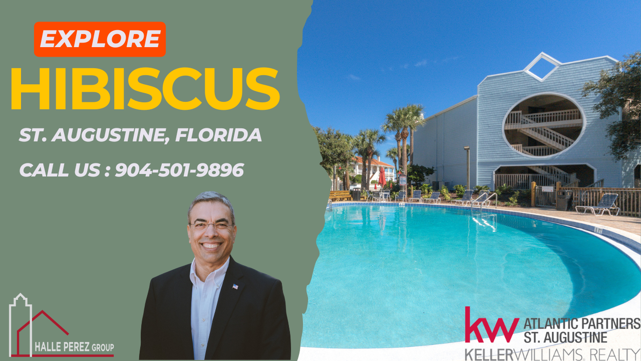 Explore Hibiscus header image.