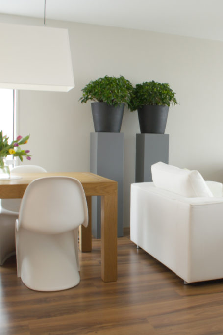 8 Tips to Make Organizing a Habit header image.