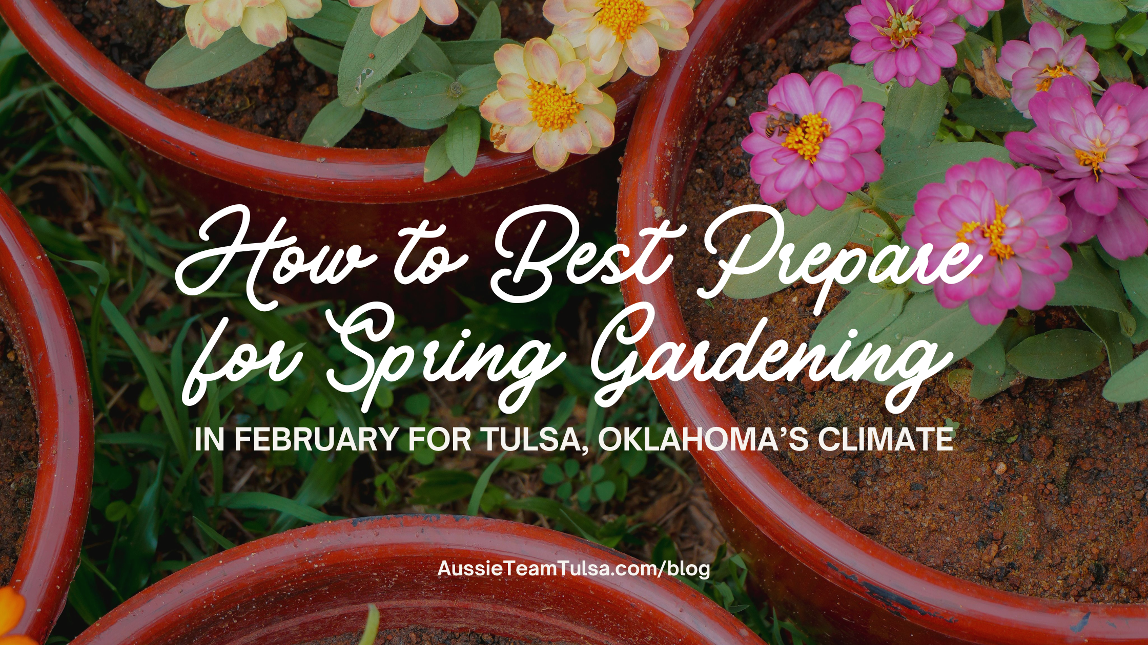 How to Best Prepare  for Spring Gardening in Tulsa header image.