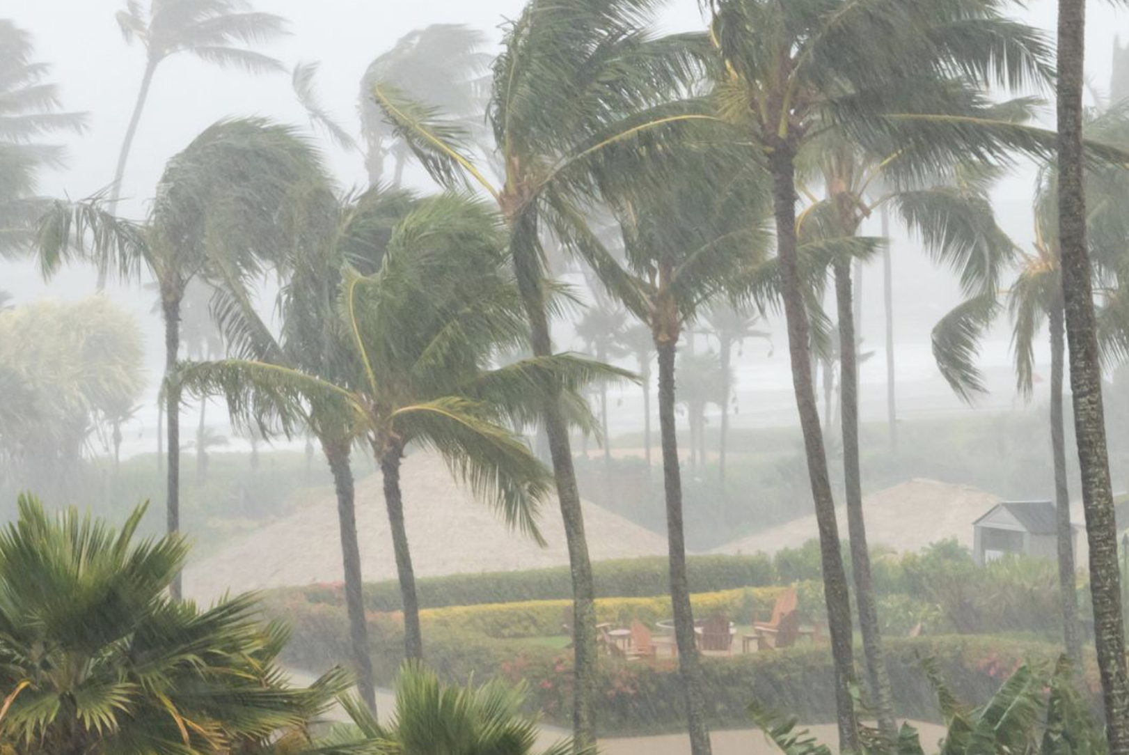 What Should You Do Before A Hurricane? header image.