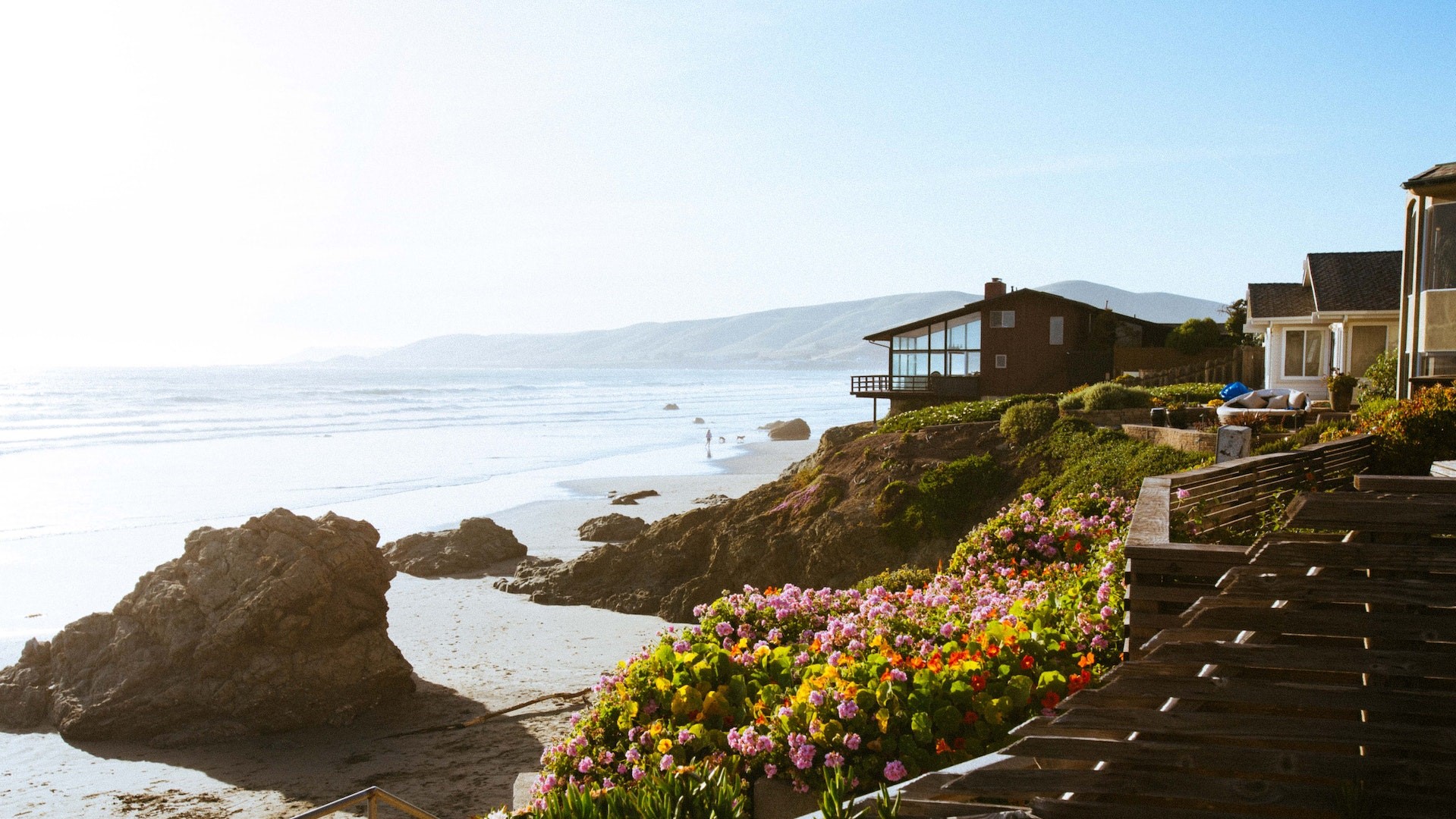 Oceanfront vs. Equestrian Property in Florida: Which Suits You Better header image.
