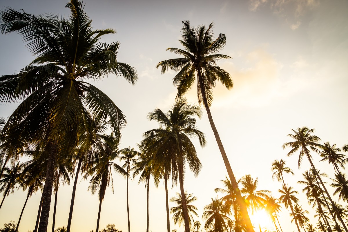 The Sunshine State: A Hub for Real Estate Investment header image.
