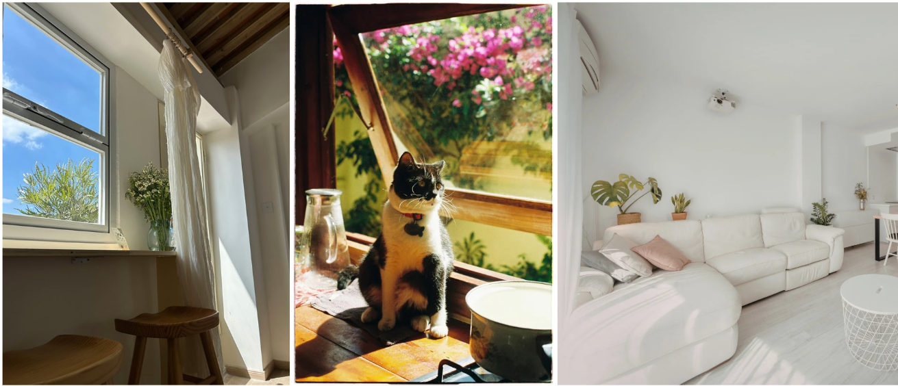 Windows Open, Minds Open: How Fresh Air Season Changes the Way We Live at Home header image.