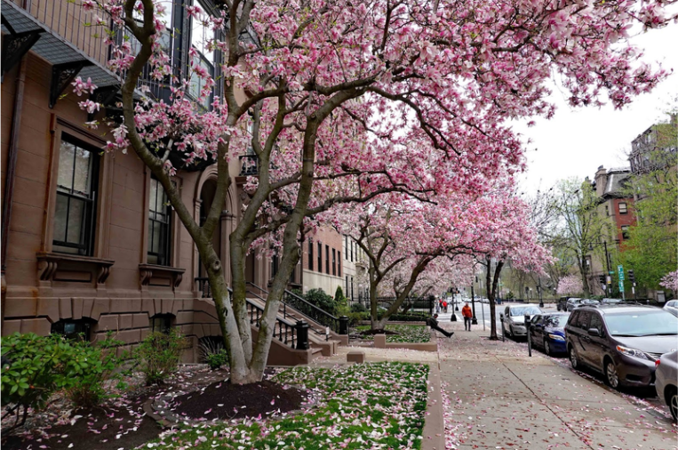 The Spring Reset Effect: Why April Is the Month People Finally Take Action at Home header image.
