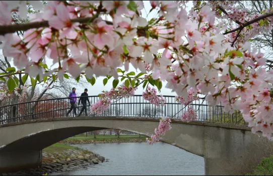 The Psychology of Spring: Why March Changes the Way We Think About Home. header image.