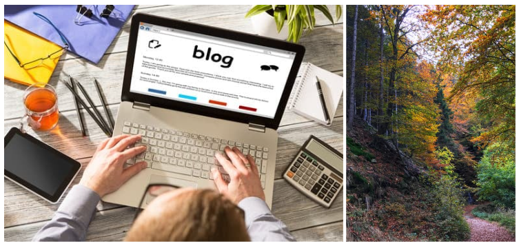 From Trick-or-Treat to Turnkey: What October Tells Us About Neighborhood Vibes header image.