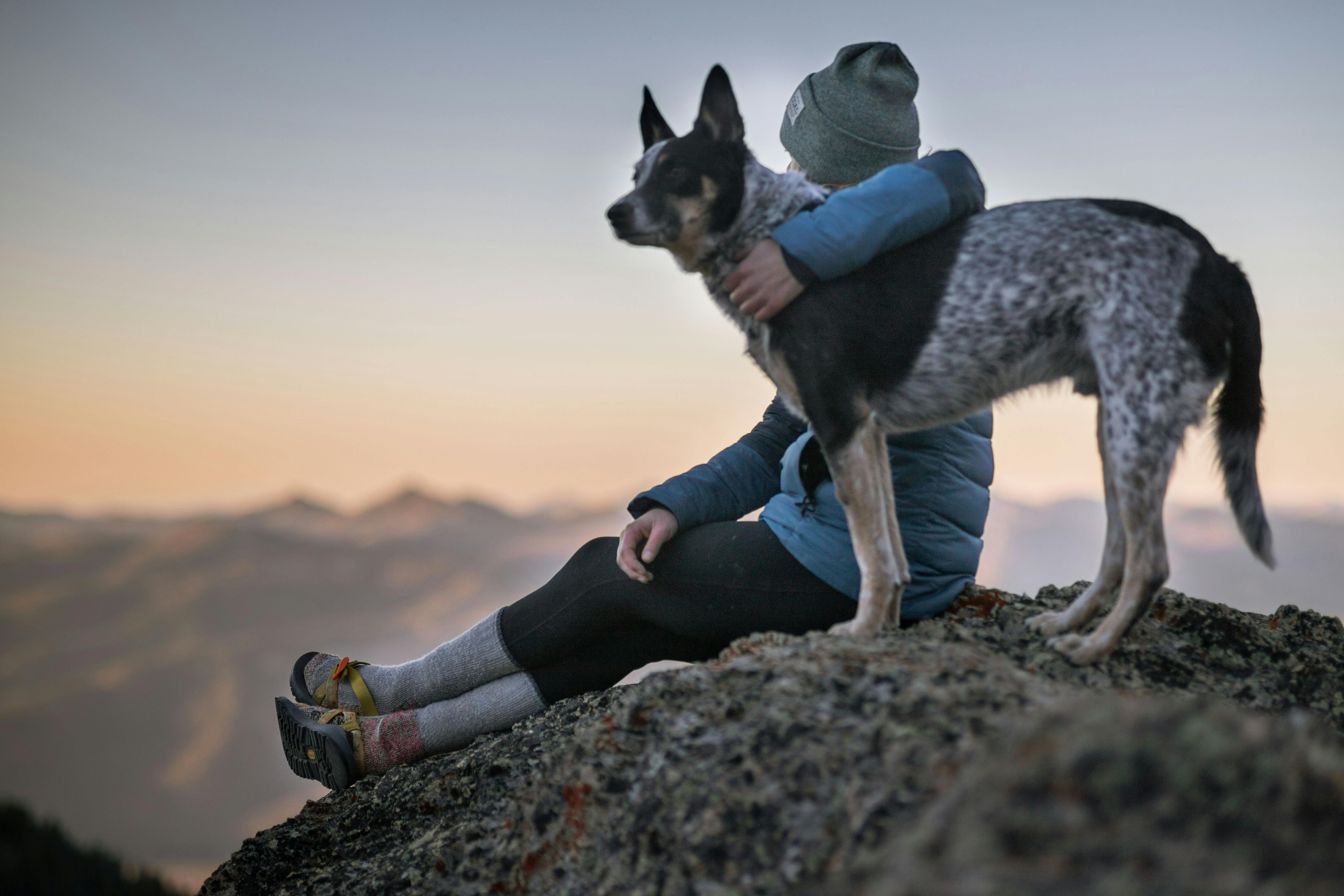 A girl and dog at the top of a mountain after a hike