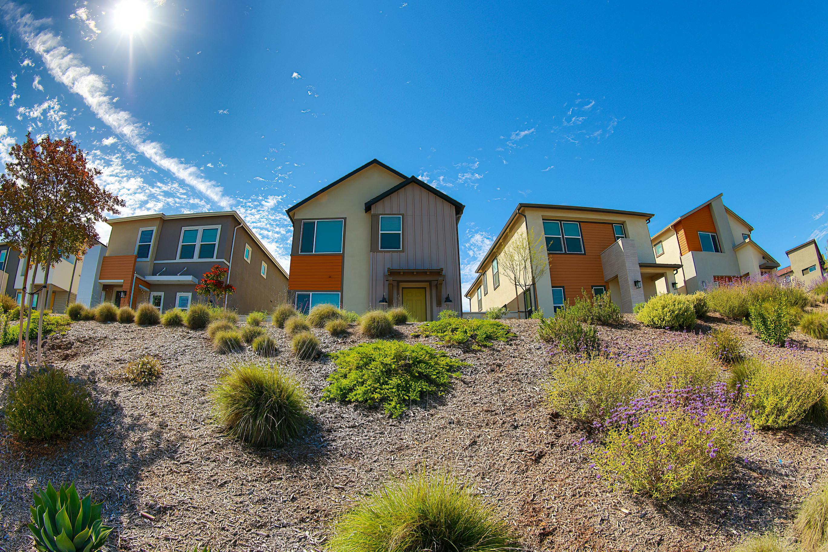 Xeriscaped yard