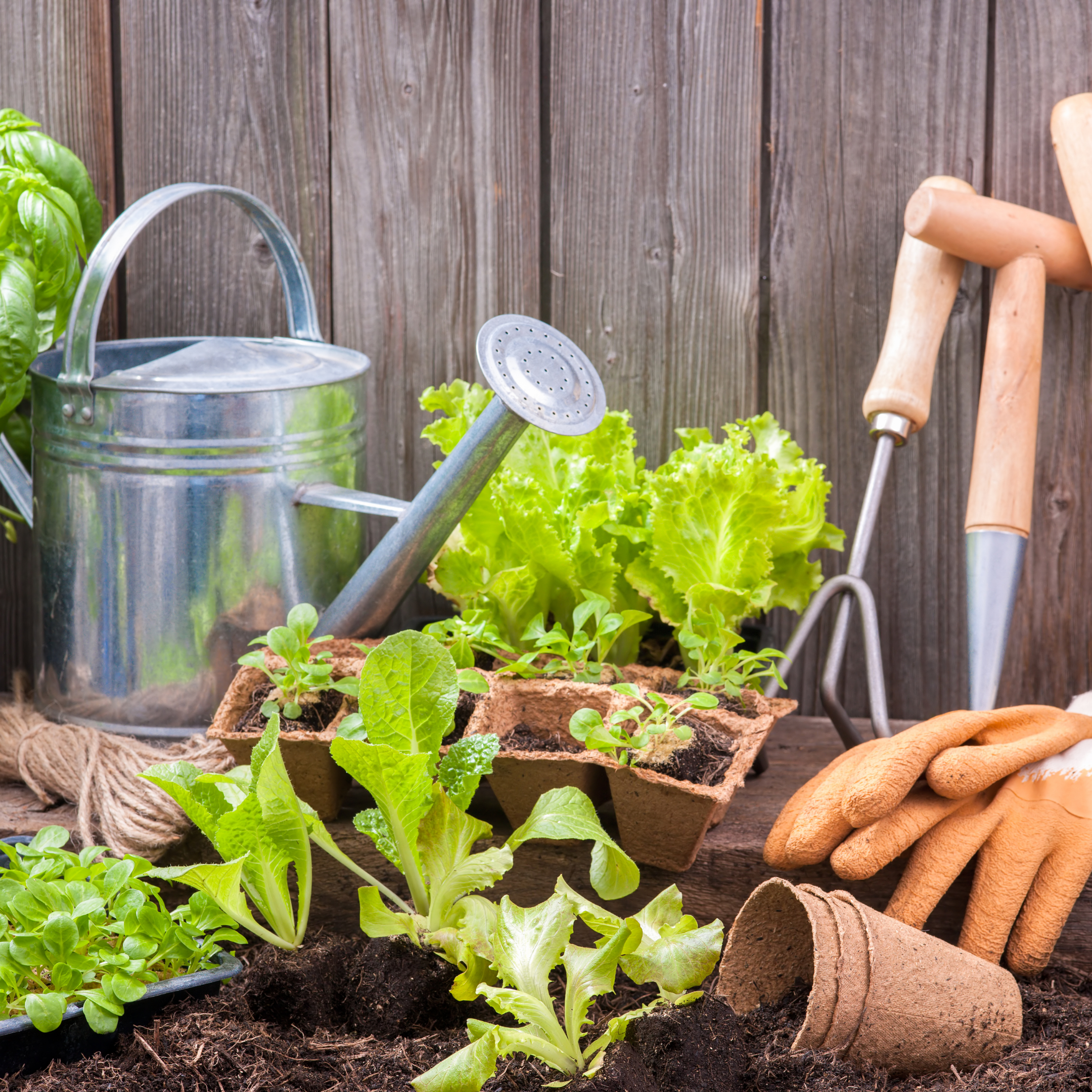 Easter Giveaway! header image.