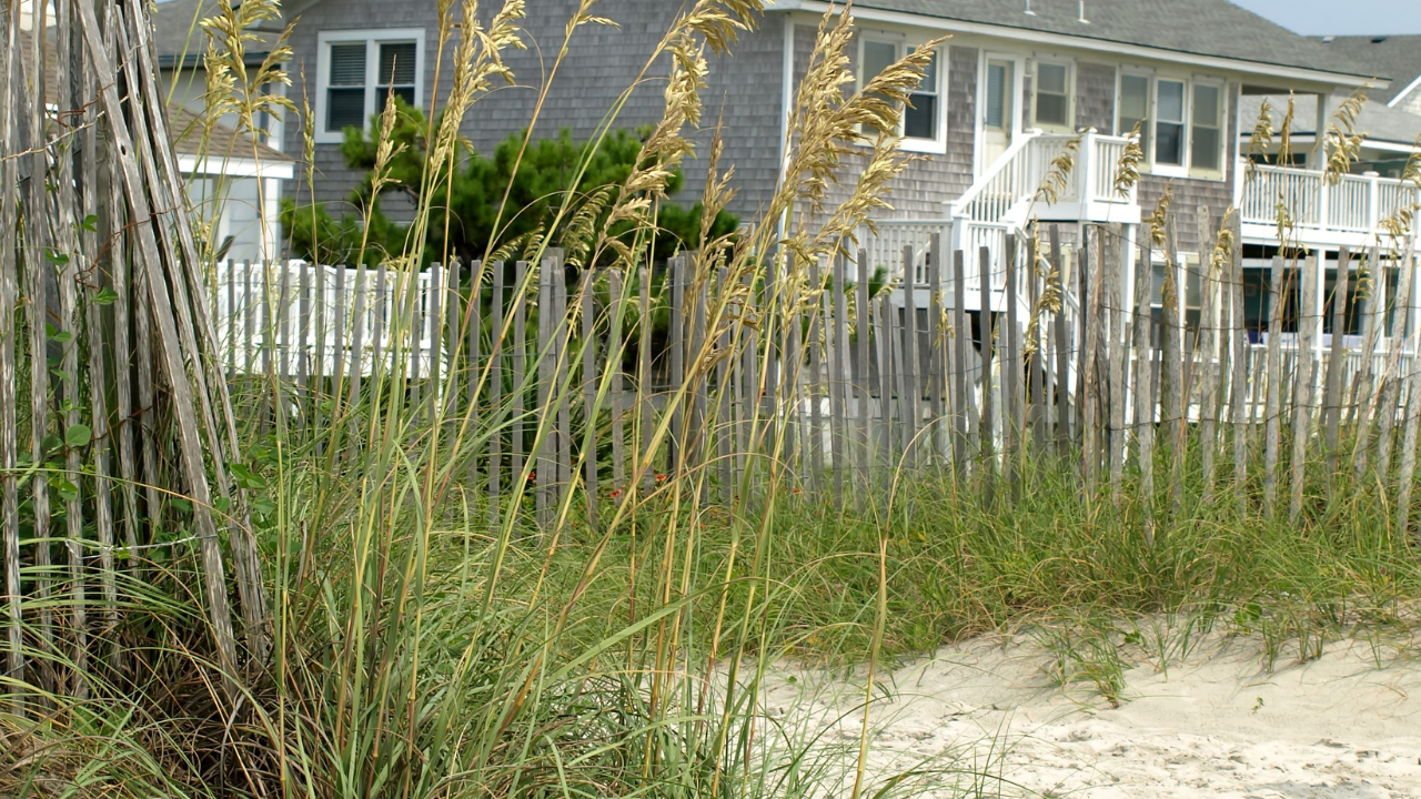 July 2023 Market Update - Curry County header image.