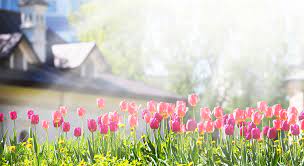 What You Can Expect from the Spring Housing Market header image.