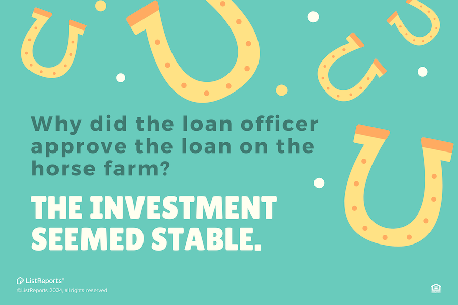 A Stable Investment header image.