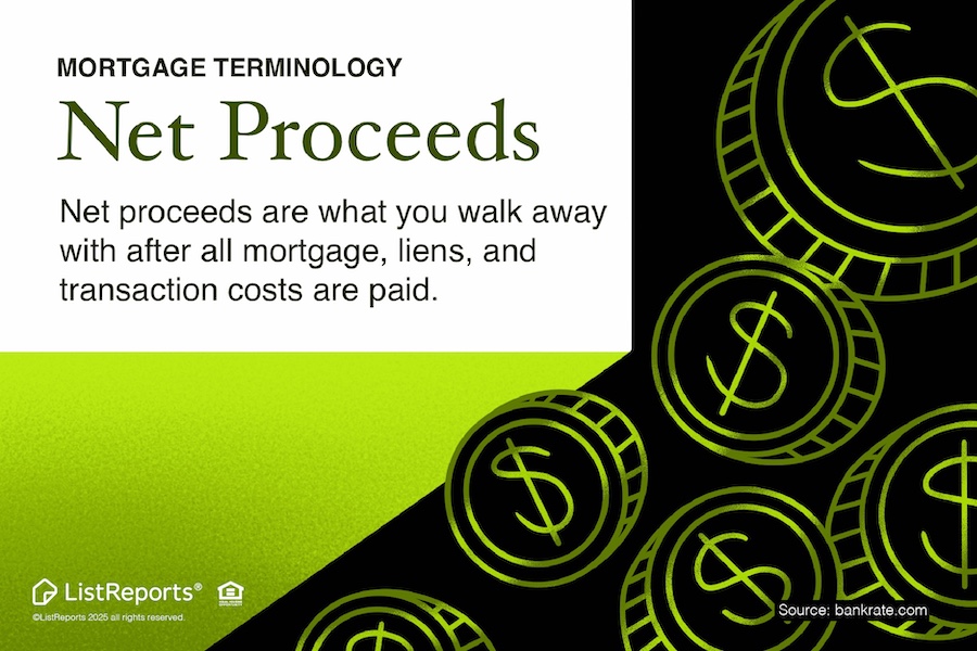 Net Proceeds header image.