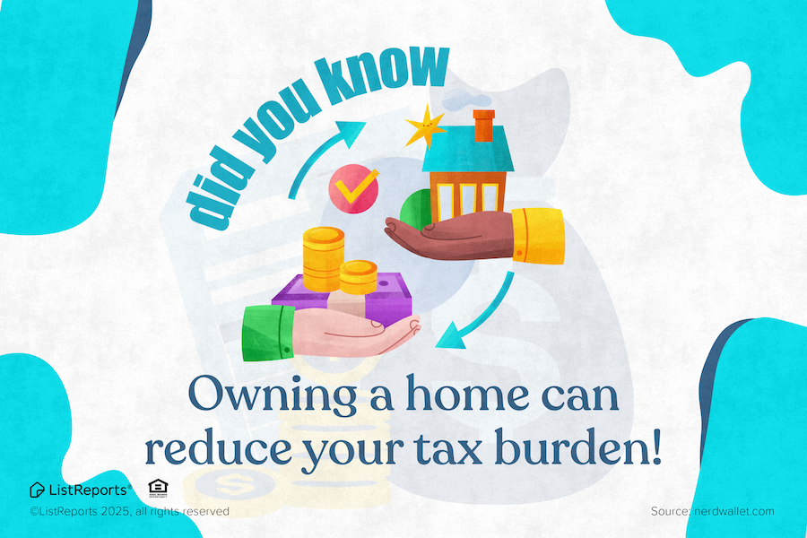 Reduce Your Tax Burden header image.
