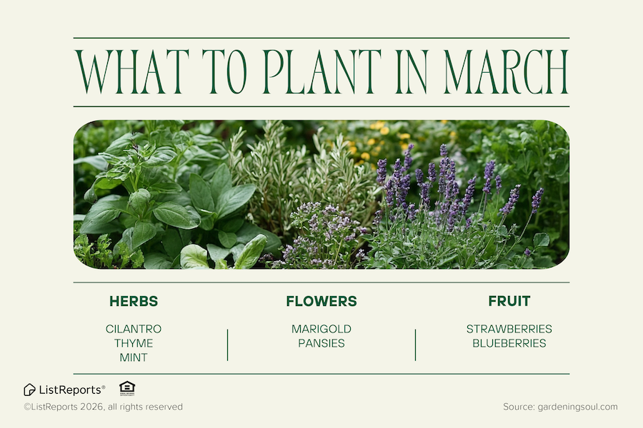 Little Touches of Spring header image.