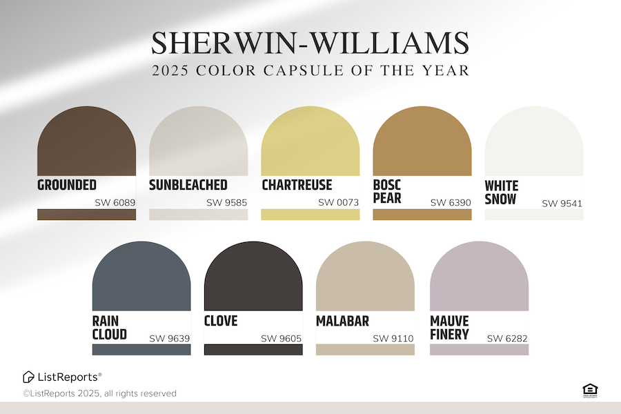 2025 Color Capsule of the Year header image.
