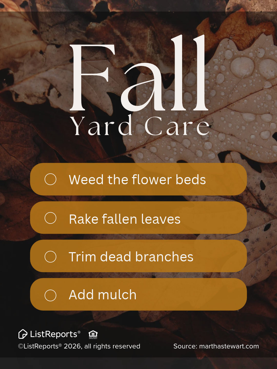 Fall Yard Care header image.