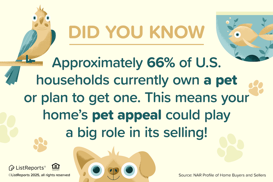 Pet Appeal header image.