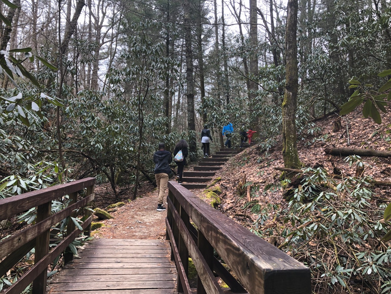 Explore Nature’s Treasures: Best Hikes, Trails, and Waterfalls Near Concord, NC header image.