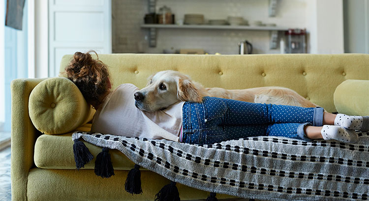 Why Pet-Friendly Homes Are in High Demand header image.