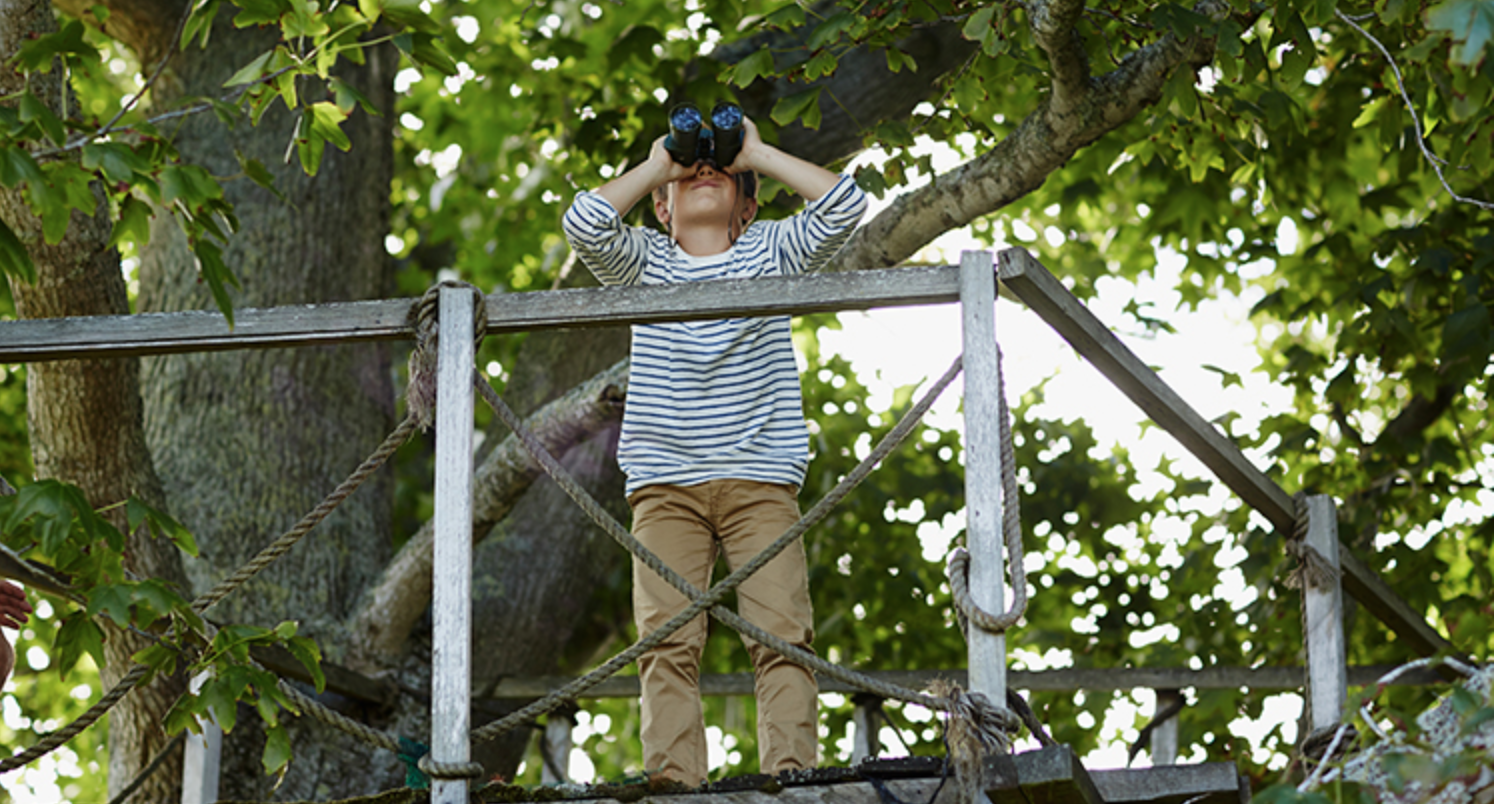 What Are Experts Saying About the Rest of 2020? header image.