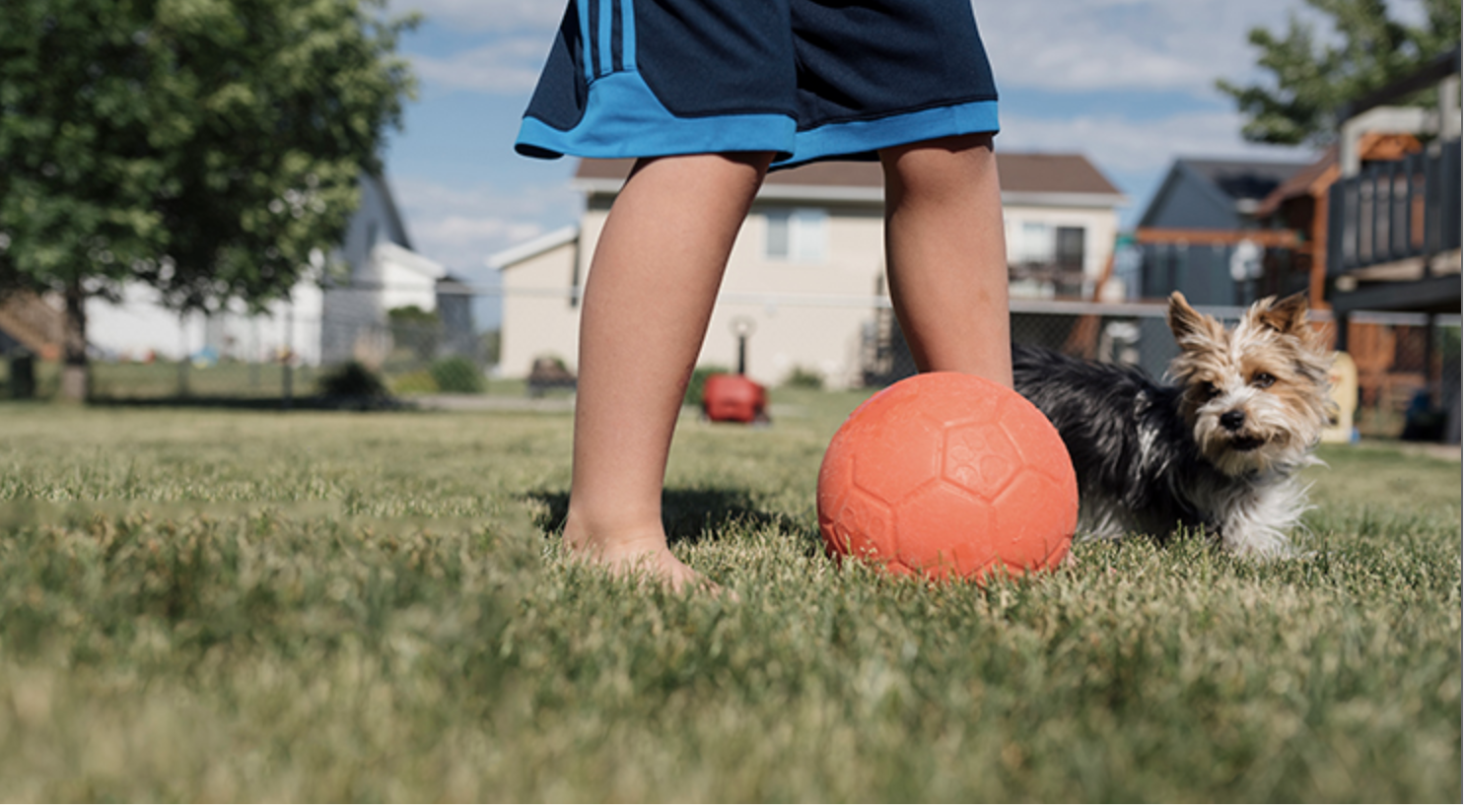 Two New Surveys Indicate Urban to Suburban Lean header image.