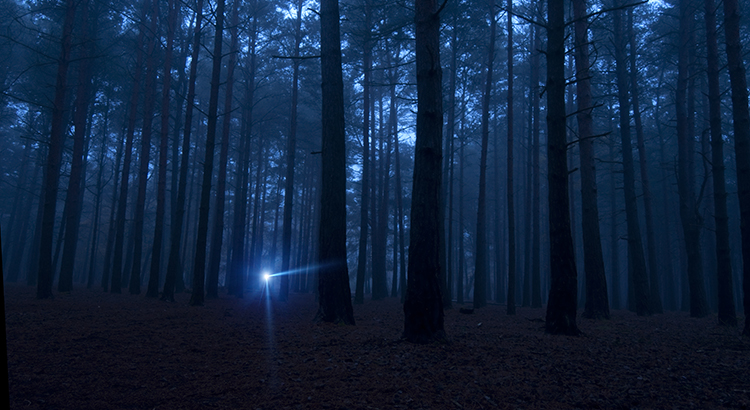 Taking the Fear Out of the Mortgage Process header image.