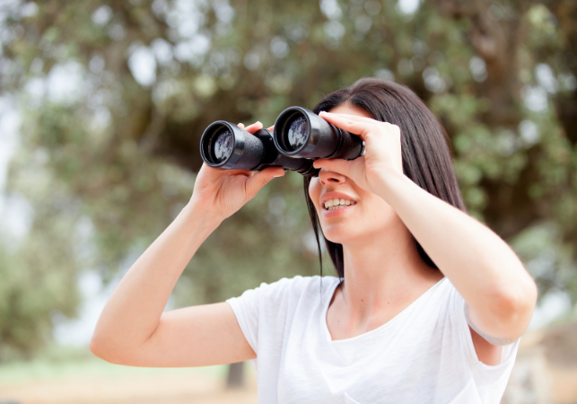The Art of House Hunting: How to Find 