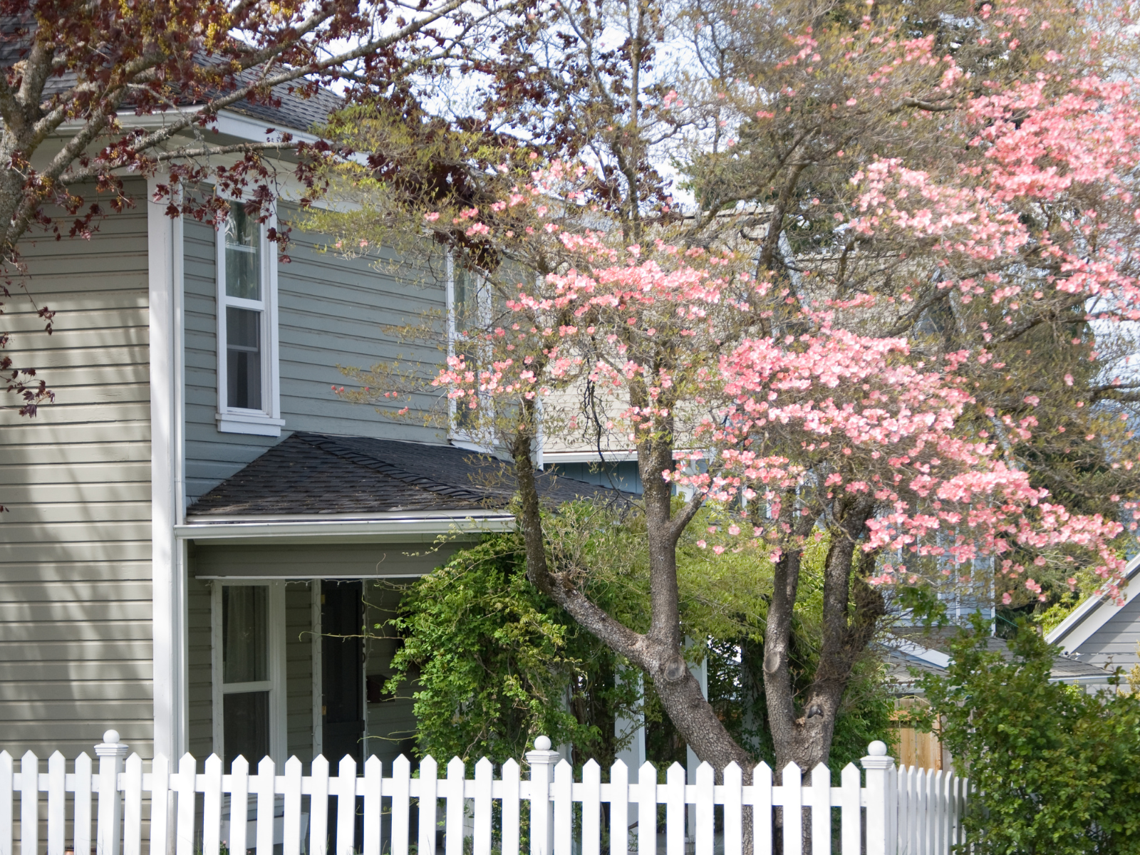 Get Your Home Ready for Spring header image.